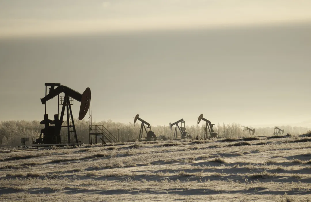 Pumpjacks working an oil field at dawn